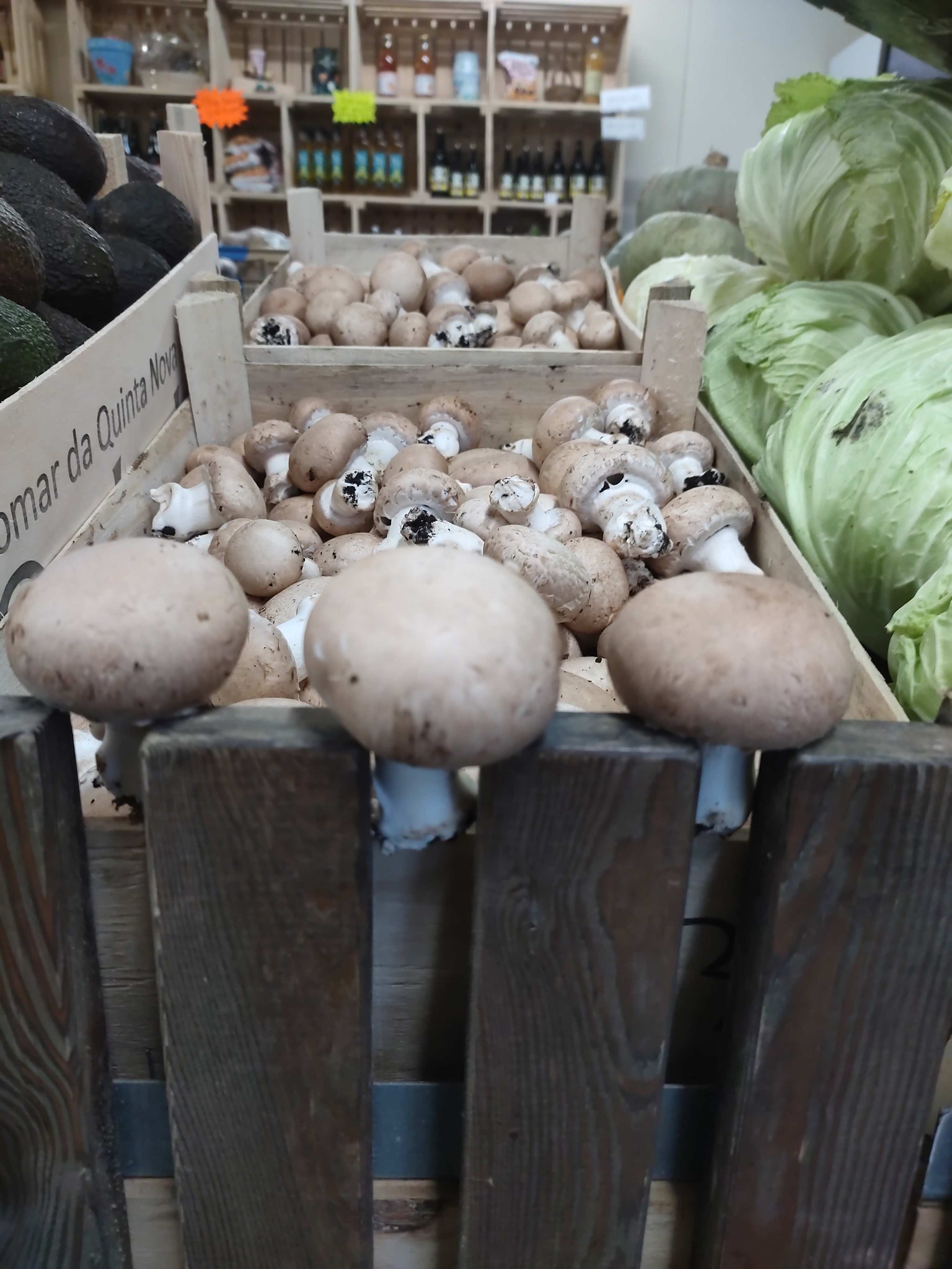 Nos Champignons - La Ferme Delignières